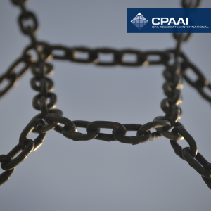 Al forjar fuertes vínculos con otros miembros CPAAI, puede proporcionar un servicio multinacional que…