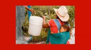 Negociación del TLC no debe centrarse en déficit: Guajardo. Seguros no alcanzan a cubrir…