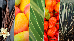 #POEConsultoresrecomienda