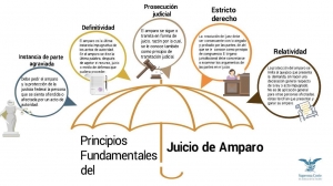 #POEConsultoresrecomienda