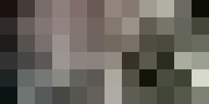 #POEConsultoresrecomienda