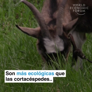 #POEConsultoresrecomienda