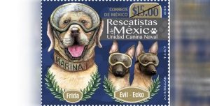 #POEConsultoresrecomienda