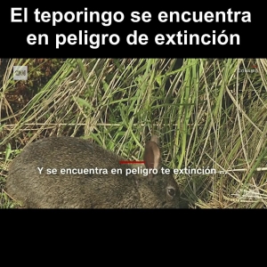 #POEConsultoresrecomienda