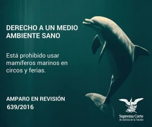 #POEConsultoresrecomienda