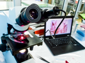 #POEConsultoresrecomienda