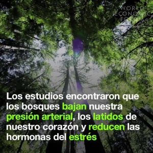 #POEConsultoresrecomienda