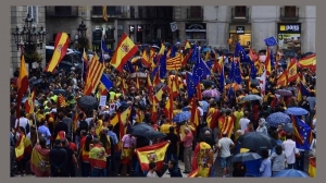 POE Consultores shared CPAAI LATAM’s video