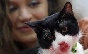 #POEConsultoresrecomienda