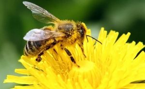 #POEConsultoresrecomienda