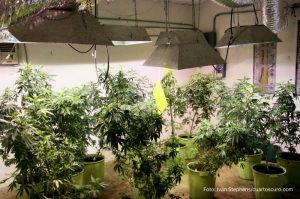 #POEConsultoresrecomienda