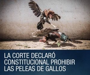 #POEConsultoresrecomienda