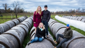 #POEConsultoresrecomienda