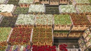 #POEConsultoresrecomienda