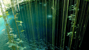 #POEConsultoresrecomienda