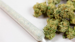 #POEConsultoresrecomienda