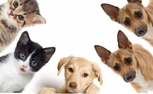 #POEConsultoresrecomienda