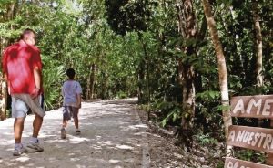 #POEConsultoresrecomienda