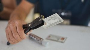 #POEConsultoresrecomienda