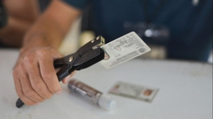 #POEConsultoresrecomienda