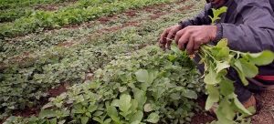 #POEConsultoresrecomienda