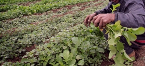 #POEConsultoresrecomienda