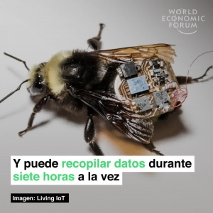 #POEConsultoresrecomienda