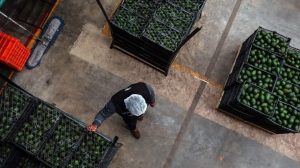 #POEConsultoresrecomienda