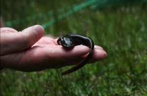 #POEConsultoresrecomienda