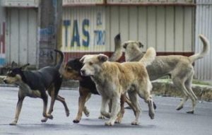 #POEConsultoresrecomienda