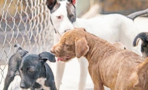 #POEConsultoresrecomienda