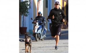 #POEConsultoresrecomienda