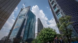 #POEConsultoresrecomienda