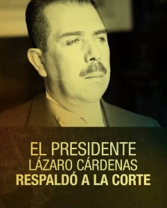 #POEConsultoresrecomienda