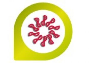 POE Consultores shared a post