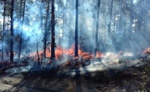 #POEConsultoresrecomienda