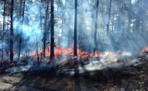 #POEConsultoresrecomienda