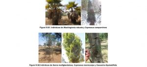 #POEConsultoresrecomienda