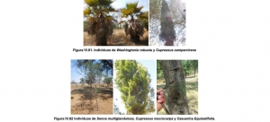 #POEConsultoresrecomienda