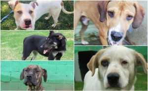 #POEConsultoresrecomienda