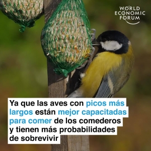 #POEConsultoresrecomienda