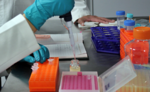 #POEConsultoresrecomienda