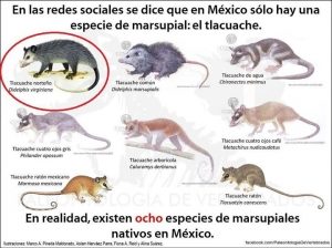 #POEConsultoresrecomienda