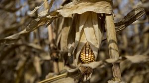 #POEConsultoresrecomienda