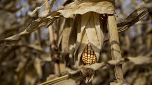 #POEConsultoresrecomienda