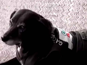 #POEConsultoresrecomienda