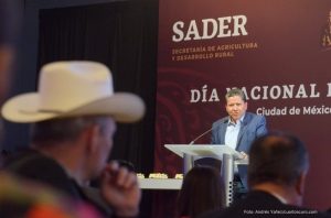 #POEConsultoresrecomienda