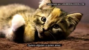 #POEConsultoresrecomienda