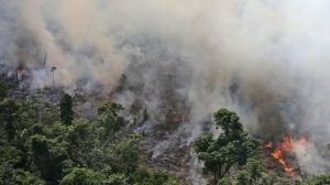 #POEConsultoresrecomienda