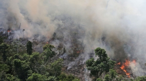 #POEConsultoresrecomienda